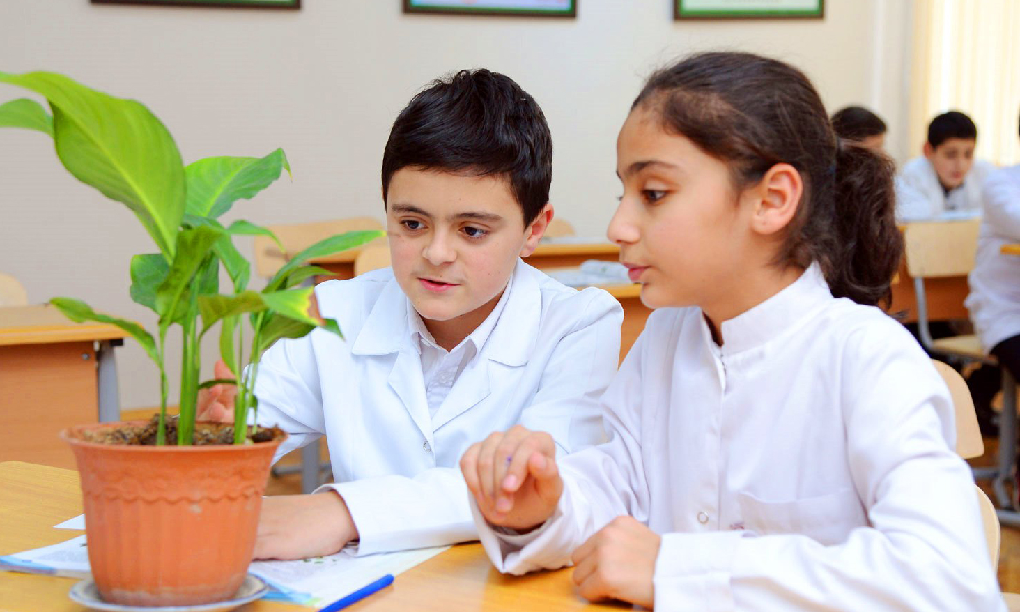 Gənc bioloqların yaradıcılıq müsabiqəsi keçiriləcək