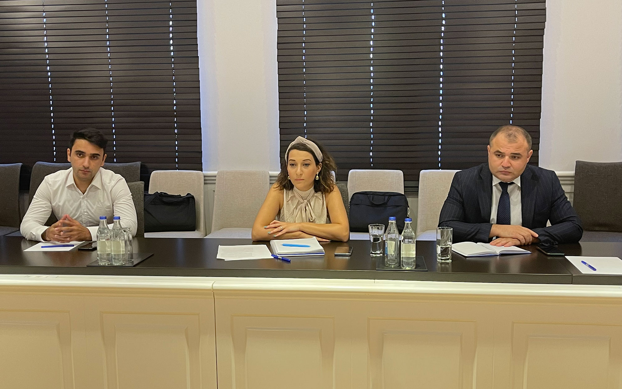 Regional İnkişaf İctimai Birliyi ilə görüş