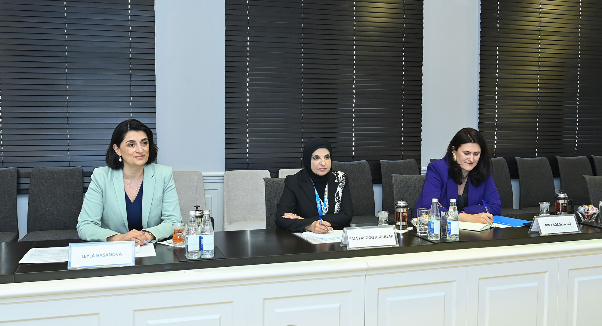 Elm və təhsil naziri UNICEF-in Azərbaycandakı nümayəndəsi ilə görüşüb